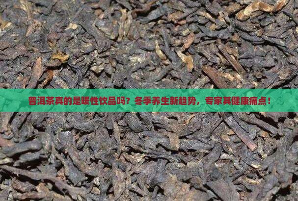 普洱茶真的是暖性饮品吗？冬季养生新趋势，专家其健康痛点！