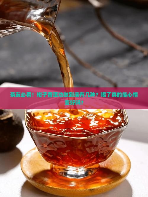 茶友必看！柑子普洱功效到底有几种？喝了真的能心情变好吗？