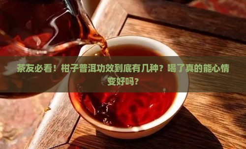 茶友必看！柑子普洱功效到底有几种？喝了真的能心情变好吗？