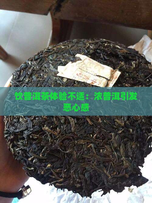 饮普洱茶体验不适：浓普洱引发恶心感