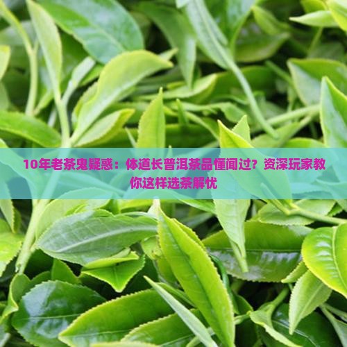 10年老茶鬼疑惑：体道长普洱茶品懂闻过？资深玩家教你这样选茶解忧
