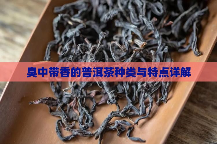 臭中带香的普洱茶种类与特点详解