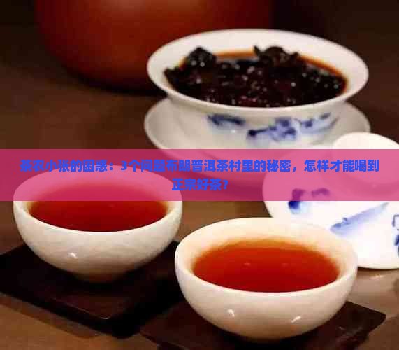 茶农小张的困惑：3个问题布朗普洱茶村里的秘密，怎样才能喝到正宗好茶？