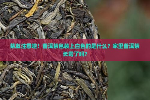 茶友注意啦！普洱茶包装上白色的是什么？家里普洱茶长霉了吗？