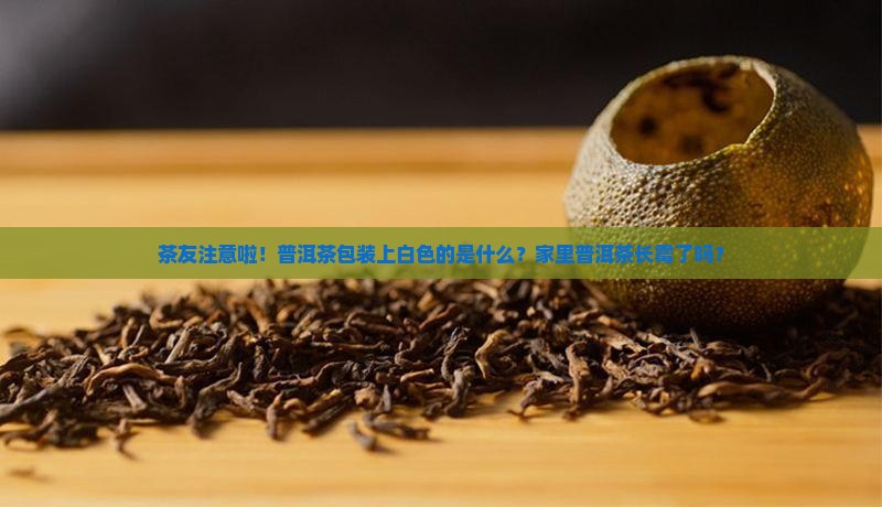茶友注意啦！普洱茶包装上白色的是什么？家里普洱茶长霉了吗？