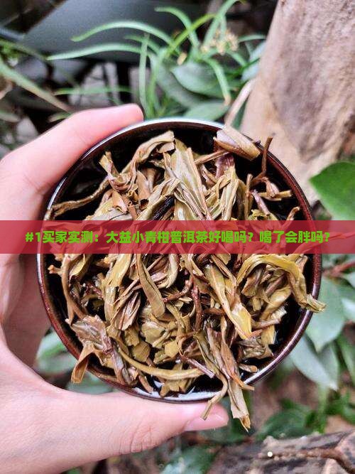 #1买家实测：大益小青柑普洱茶好喝吗？喝了会胖吗？