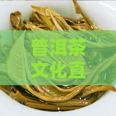 普洱茶文化直播：品味经典，传承韵味