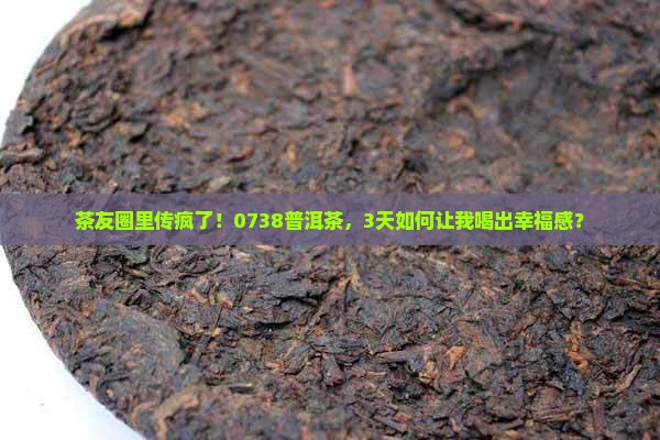 茶友圈里传疯了！0738普洱茶，3天如何让我喝出幸福感？
