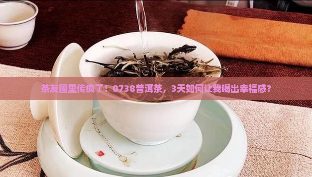 茶友圈里传疯了！0738普洱茶，3天如何让我喝出幸福感？