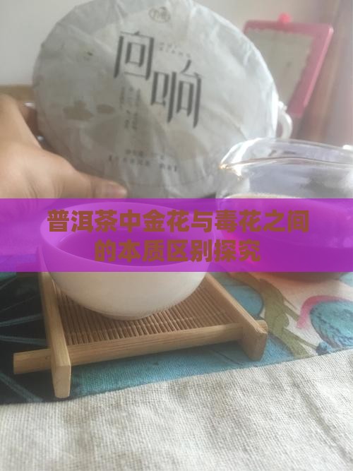 普洱茶中金花与毒花之间的本质区别探究