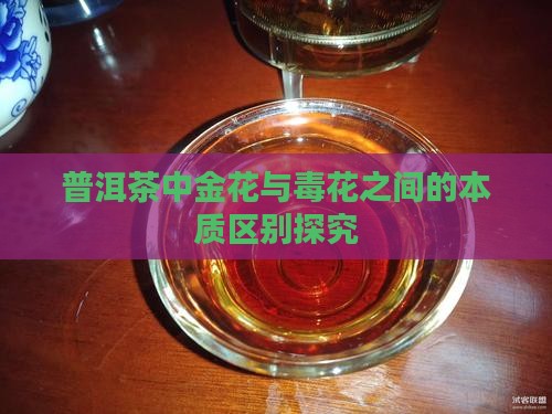 普洱茶中金花与毒花之间的本质区别探究