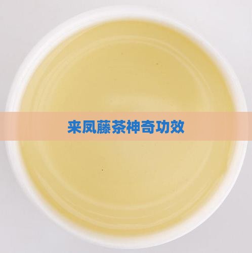 来凤藤茶神奇功效