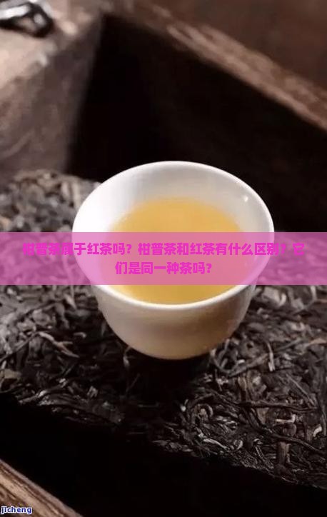 柑普茶属于红茶吗？柑普茶和红茶有什么区别？它们是同一种茶吗？