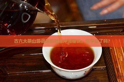 古六大茶山普洱茶的独家冲泡秘诀，你学会了吗？