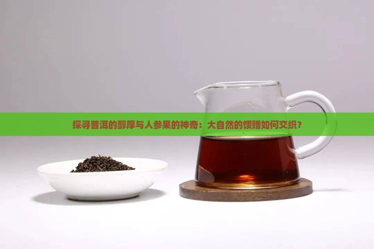 探寻普洱的醇厚与人参果的神奇：大自然的馈赠如何交织？