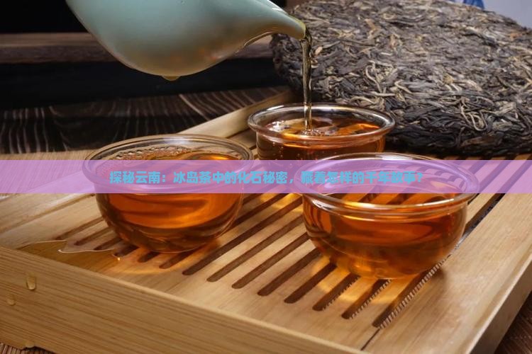 探秘云南：冰岛茶中的化石秘密，藏着怎样的千年故事？