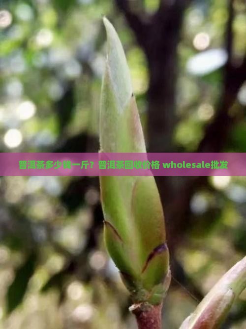 普洱茶多少钱一斤？普洱茶回收价格 wholesale批发