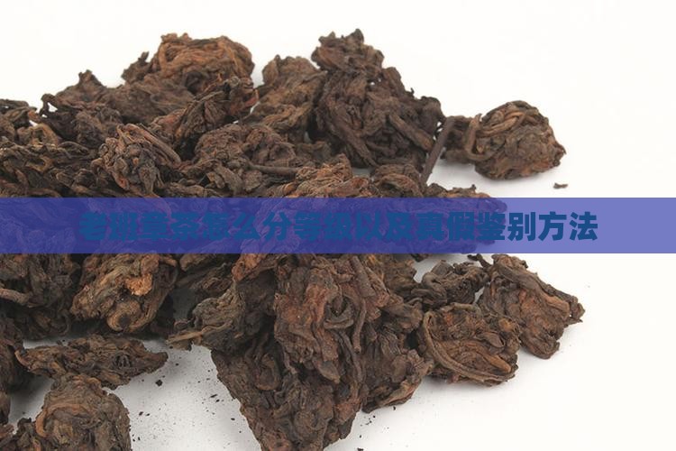 老班章茶怎么分等级以及真假鉴别方法