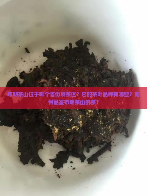 布朗茶山位于哪个省份及茶区？它的茶叶品种有哪些？如何品鉴布朗茶山的茶？