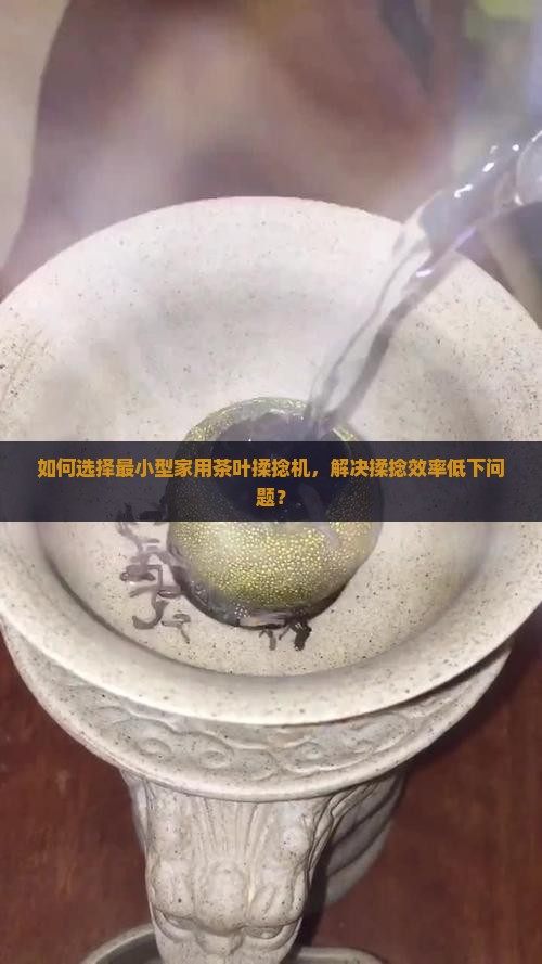 如何选择最小型家用茶叶揉捻机，解决揉捻效率低下问题？