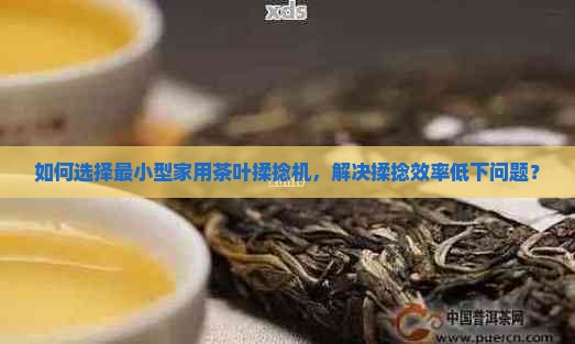 如何选择最小型家用茶叶揉捻机，解决揉捻效率低下问题？