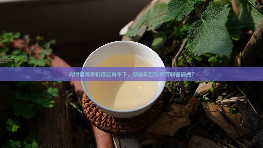 为何普洱茶价格居高不下，藏着哪些投资与收藏痛点？