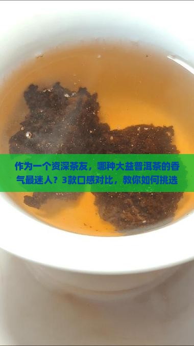 作为一个资深茶友，哪种大益普洱茶的香气最迷人？3款口感对比，教你如何挑选心仪好茶！
