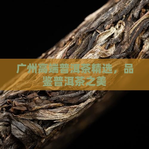 广州高端普洱茶精选，品鉴普洱茶之美