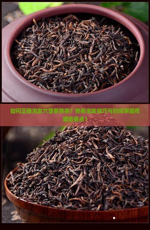如何正确泡发六堡茶熟茶？熟茶泡发技巧与时间掌握有哪些要点？