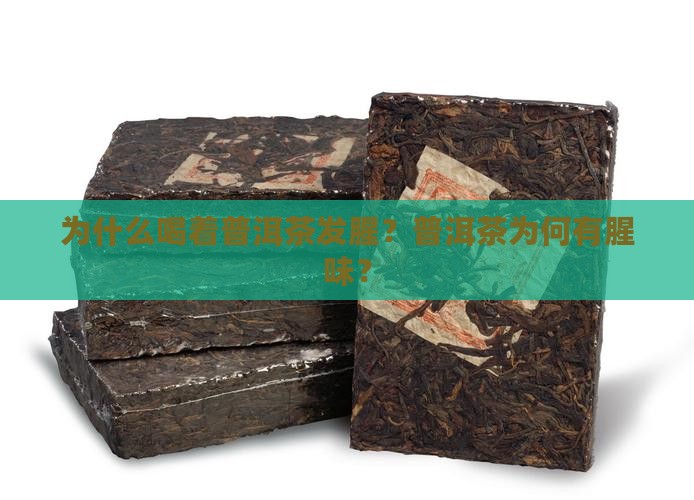 为什么喝着普洱茶发腥?普洱茶为何有腥味? 为什么喝着普洱茶发腥?普洱茶为何有腥味?