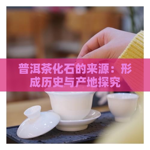 普洱茶化石的来源：形成历史与产地探究