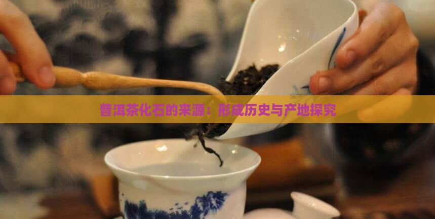 普洱茶化石的来源：形成历史与产地探究