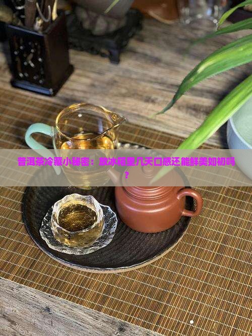 普洱茶冷藏小秘密：放冰箱里几天口感还能鲜美如初吗？