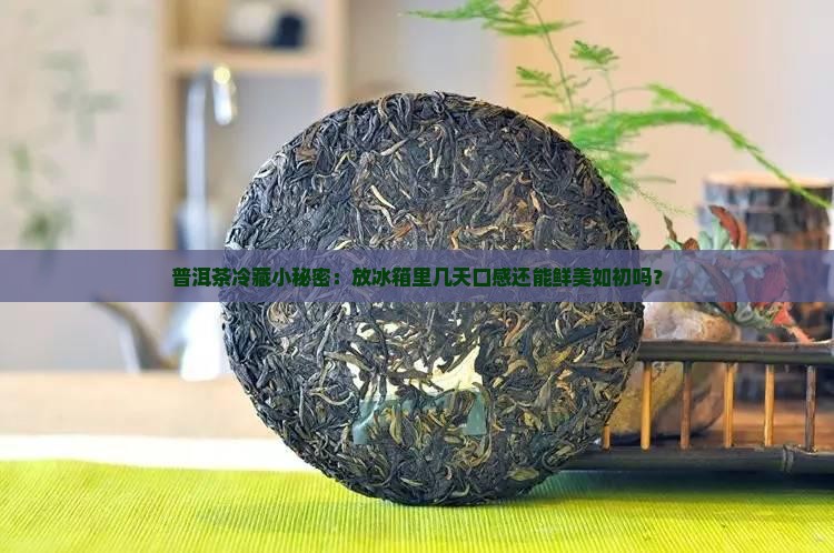 普洱茶冷藏小秘密：放冰箱里几天口感还能鲜美如初吗？