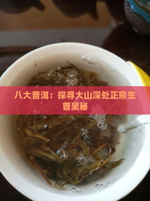 八大普洱：探寻大山深处正宗生普奥秘