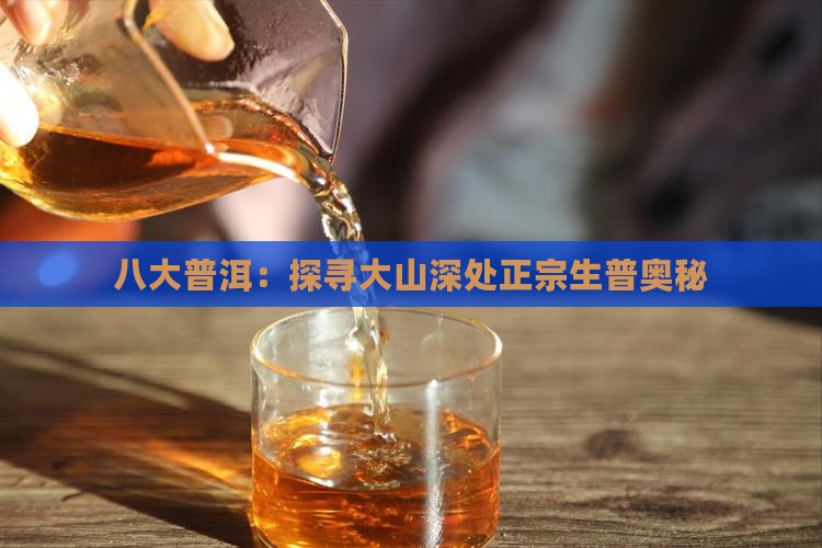 八大普洱：探寻大山深处正宗生普奥秘