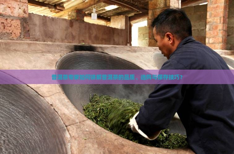 普洱茶专家如何讲解普洱茶的品质、选购与保存技巧？