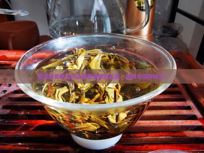普洱茶专家如何讲解普洱茶的品质、选购与保存技巧？