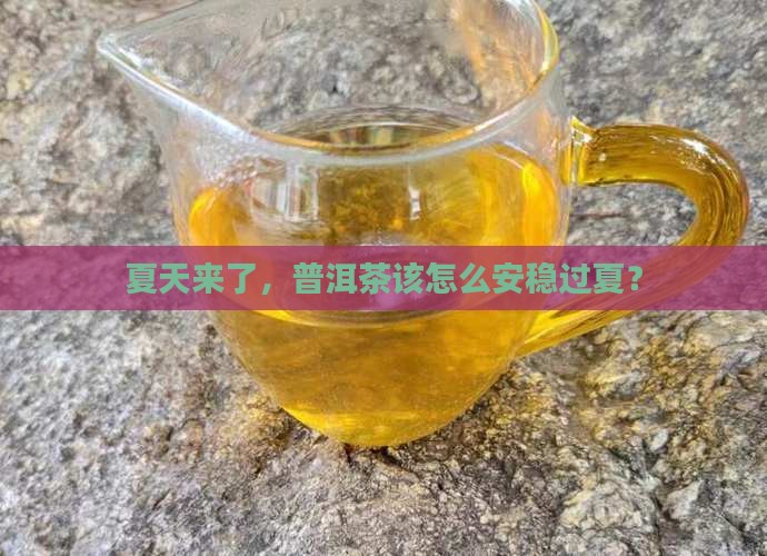 夏天来了，普洱茶该怎么安稳过夏？
