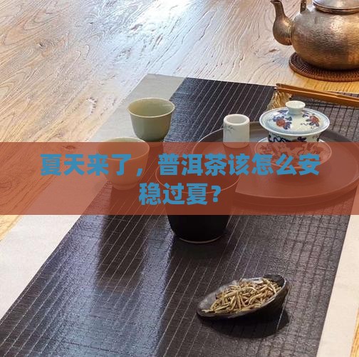 夏天来了，普洱茶该怎么安稳过夏？