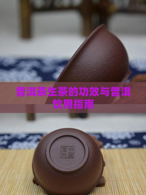 普洱茶生茶的功效与普洱饮用指南