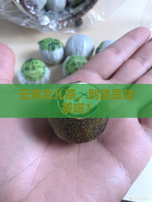 云南女儿茶，到底是啥茶呀？
