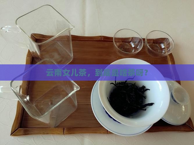 云南女儿茶，到底是啥茶呀？