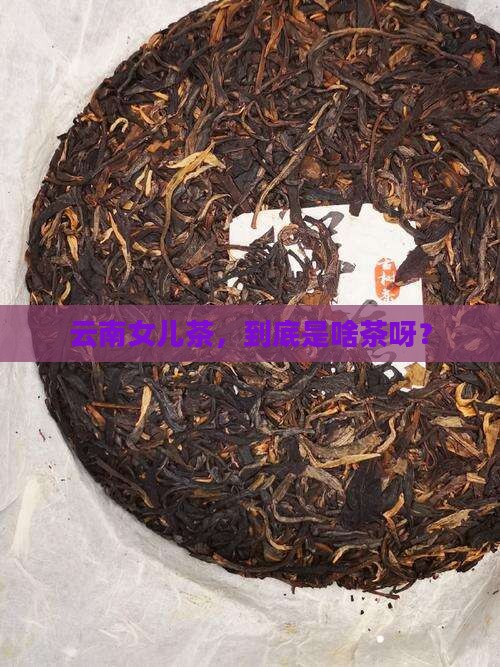 云南女儿茶，到底是啥茶呀？