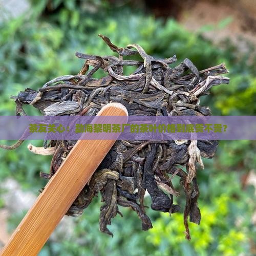 茶友关心：勐海黎明茶厂的茶叶价格到底贵不贵？