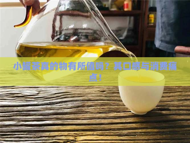 小罐茶真的物有所值吗？其口感与消费痛点！