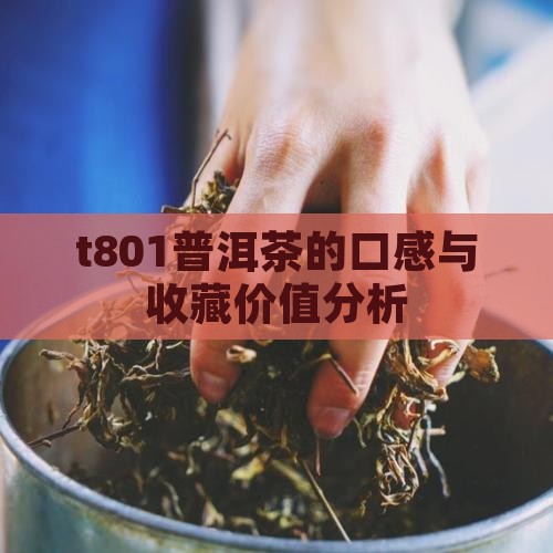 t801普洱茶的口感与收藏价值分析