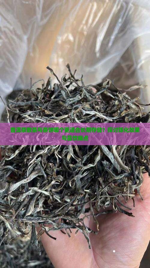 普洱茶散茶与茶饼哪个更适合长期存储？探讨陈化效果与品饮痛点
