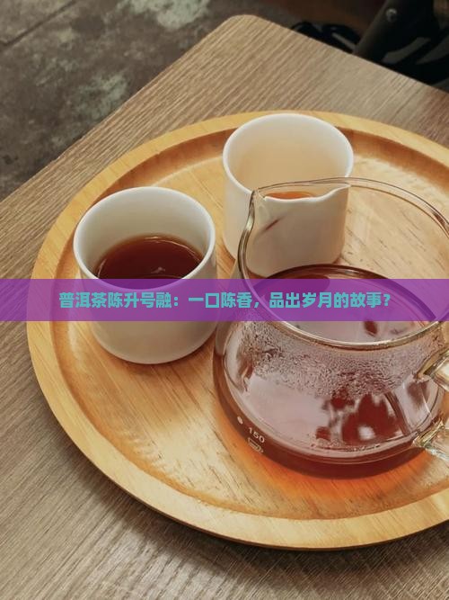 普洱茶陈升号融：一口陈香，品出岁月的故事？
