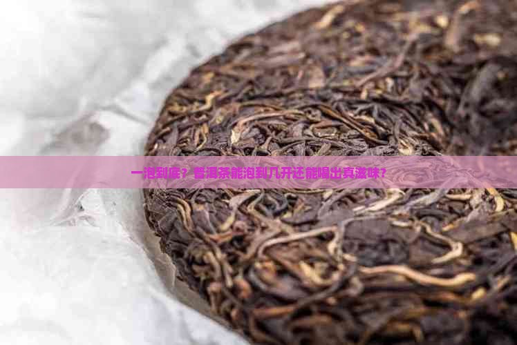 一泡到底？普洱茶能泡到几开还能喝出真滋味？